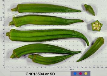 column Fruit