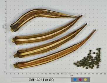 column FRUIT
