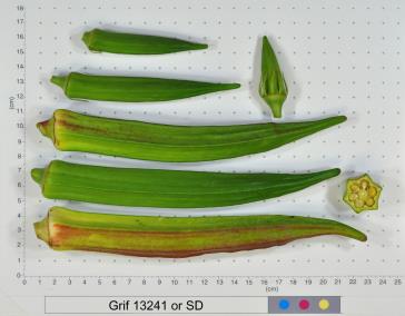 column FRUIT
