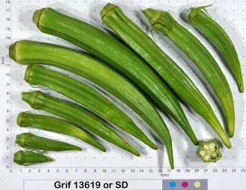 column Fruit
