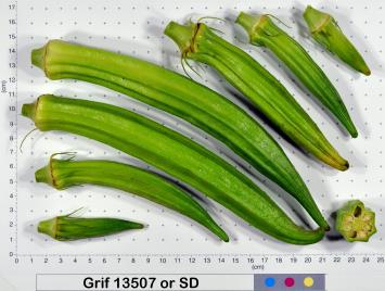 column Fruit