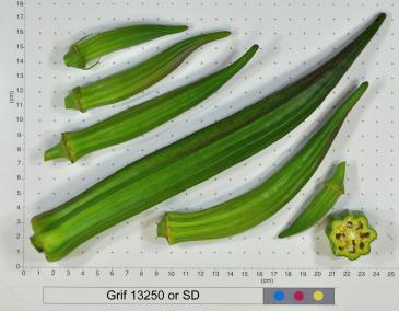 column FRUIT