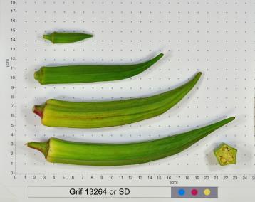 column FRUIT