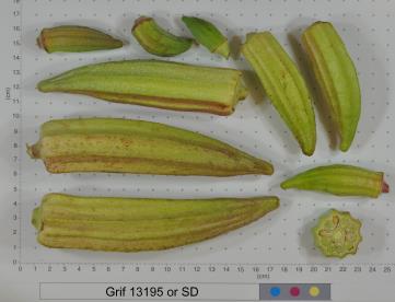 column FRUIT