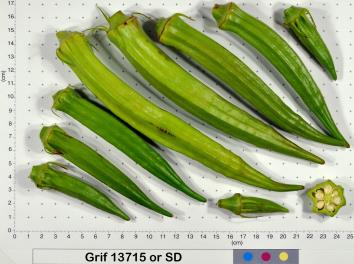 column Fruit