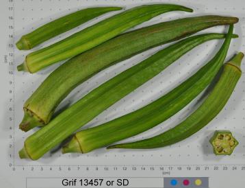Click for 2 image(s) for this accession. FRUIT