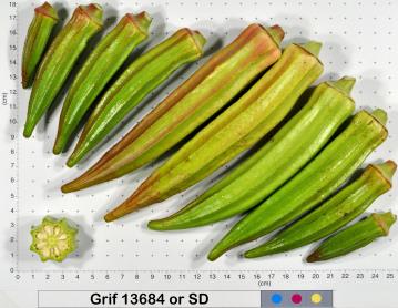 column Fruit