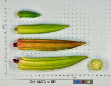 column FRUIT