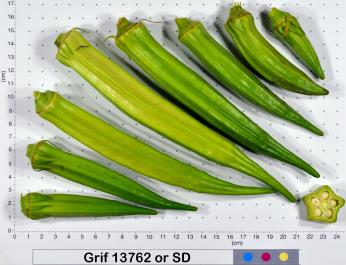 column Fruit