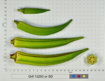 column FRUIT