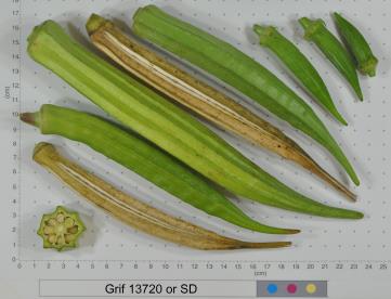 column FRUIT