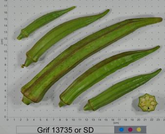 Click for 2 image(s) for this accession. FRUIT