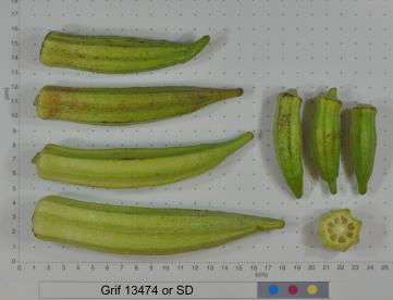 column FRUIT