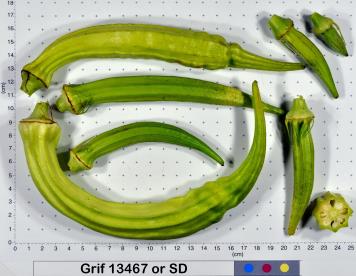 column Fruit