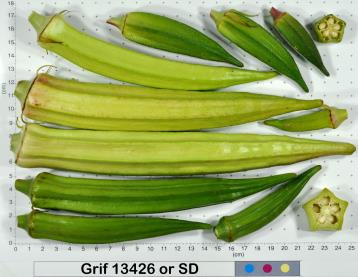 column Fruit