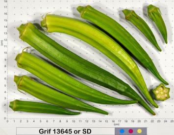 column Fruit