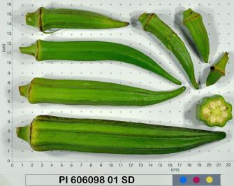 column Fruit