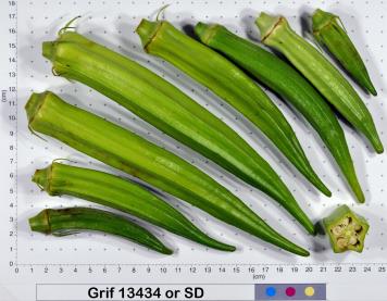 column Fruit