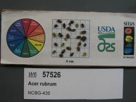 SEED