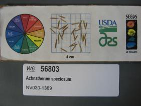 SEED