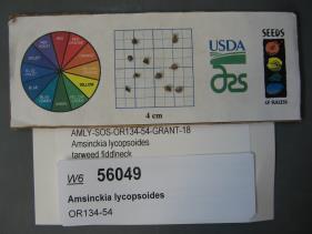 Click for 6 image(s) for this accession. SEED