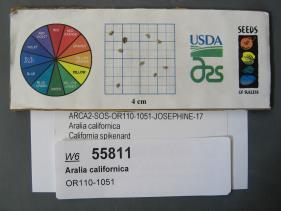 Click for 1 image(s) for this accession. SEED