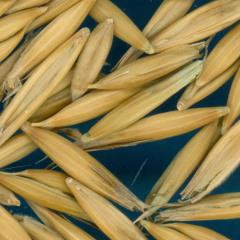 column KERNELS