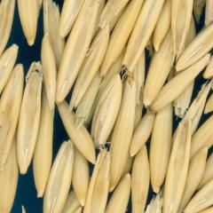 column KERNELS