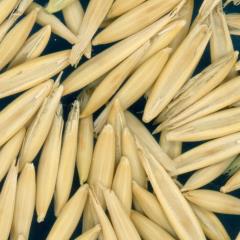 column KERNELS