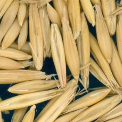 column KERNELS