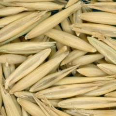 column KERNELS
