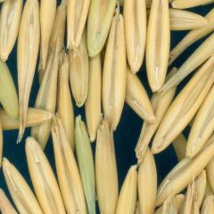 column KERNELS
