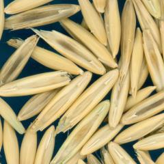column KERNELS