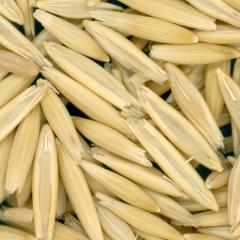 KERNELS