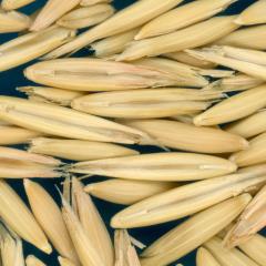column KERNELS