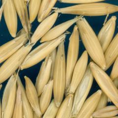 column KERNELS