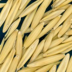 column KERNELS