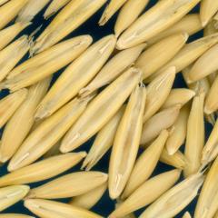 column KERNELS