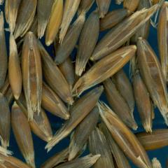 column KERNELS