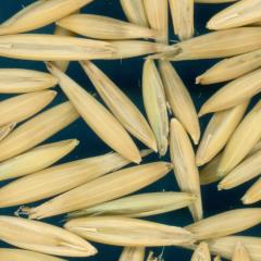 column KERNELS