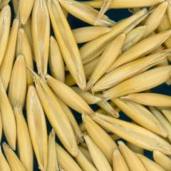 column KERNELS