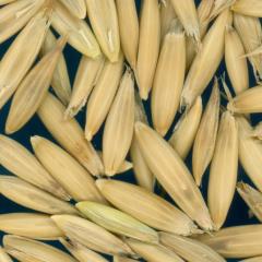 column KERNELS