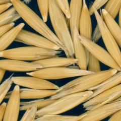column KERNELS