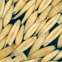 column Kernels