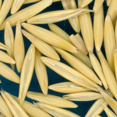 column KERNELS