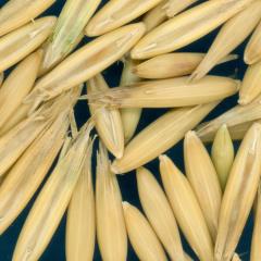column KERNELS