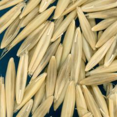 column KERNELS