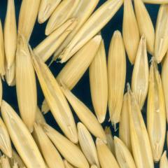column KERNELS