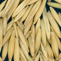 column KERNELS