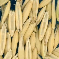 column KERNELS